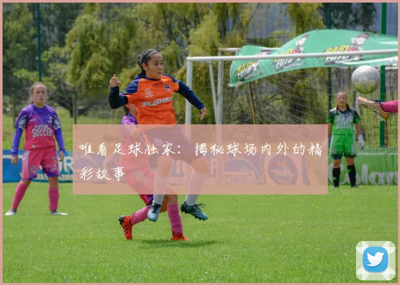 唯看足球独家:揭秘球场内外的精彩故事