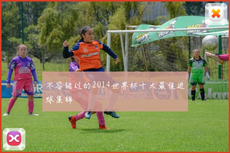 不容错过的2014世界杯十大最佳进球集锦