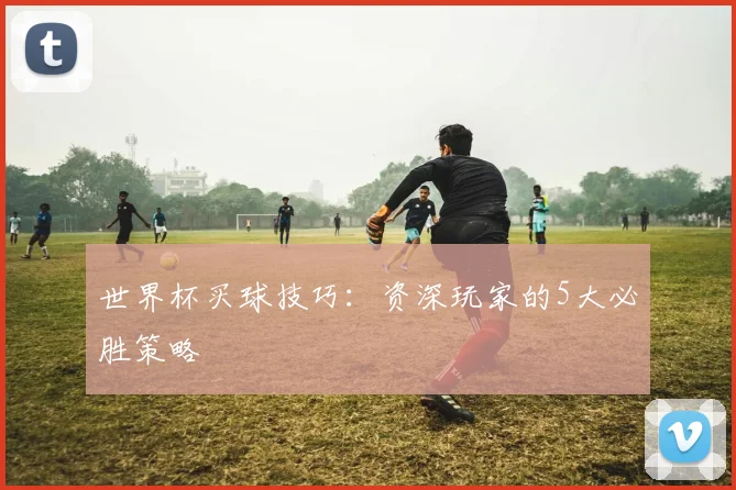 世界杯买球技巧:资深玩家的5大必胜策略